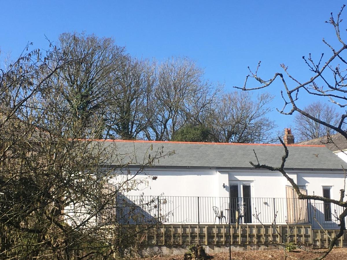 Trewethen Cottage Barn 2 Near ポート・アイザック エクステリア 写真